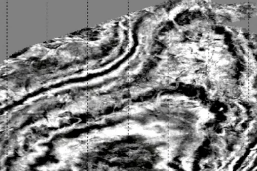 Processing of high-density observation data