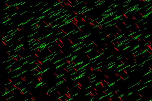 Fractured reservoir modeling